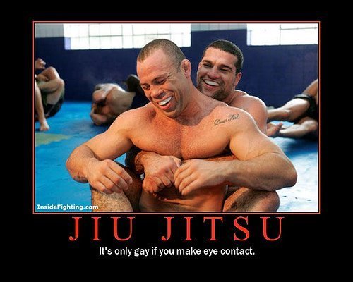 gayjiujitsutr2.jpg